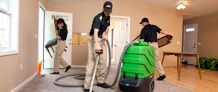 Nelson, MI cleaning services